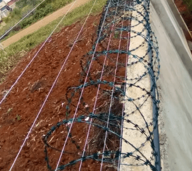 Wall Top Electric fence installation With Double Galvanized Green Razor ...